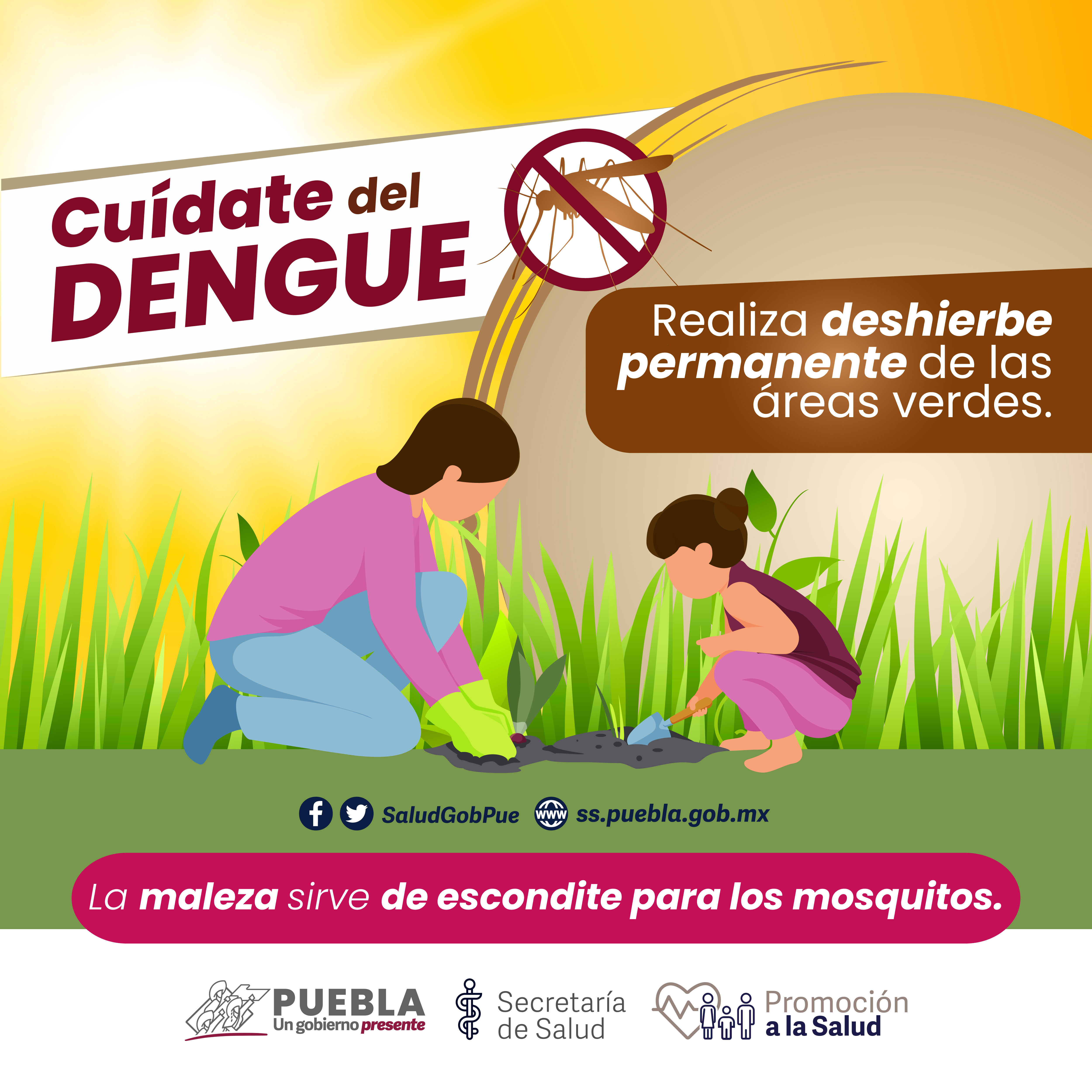 Sin casos de dengue ni decesos en las últimas 24 horas: Salud