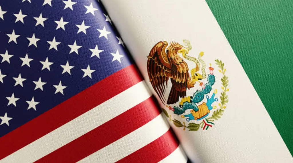 Advierten riesgo para mexicanos con doble nacionalidad por reforma